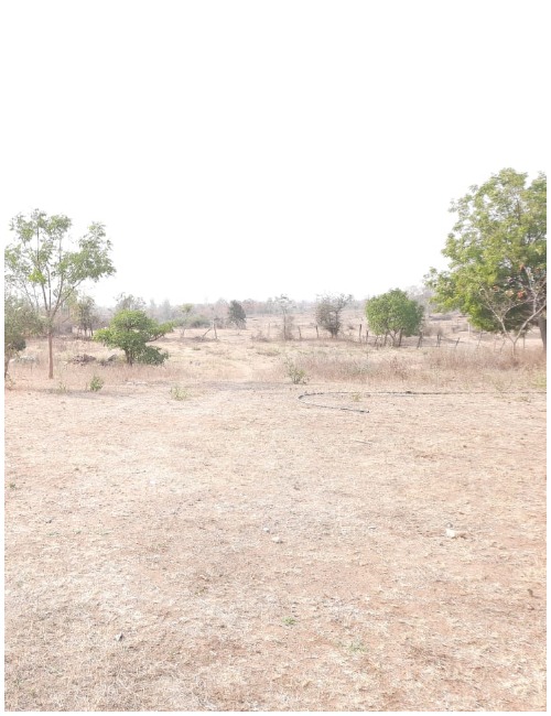 Birsaipet - > Hostel